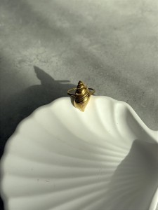 IMG_0497.jpeg