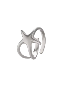 starfish silver.png