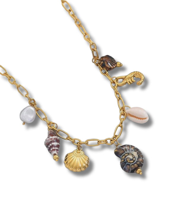 muszle brąz1-3.png